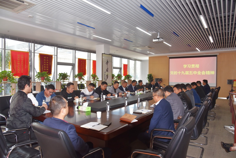 集团公司召开党总支学习会 传达党的十九届五中全会精神