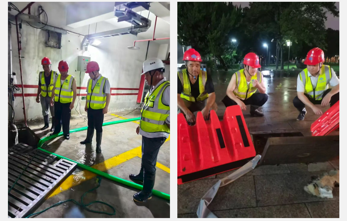 不惧风雨，向险而行|苏州中设集团“蒲公英党员先锋队”全力以赴攻坚台风“白海豚”