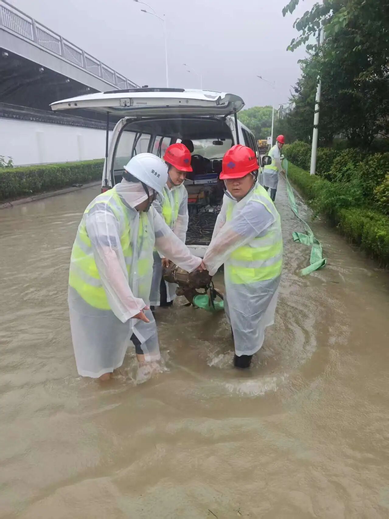 不惧风雨，向险而行|苏州中设集团“蒲公英党员先锋队”全力以赴攻坚台风“白海豚”